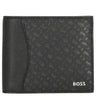 BOSS Zair M - Geldbörse 4cc (black)