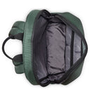 Delsey Paris Element 2.0 - Rucksack 15.6" 45 cm (grün) - Ansicht 3