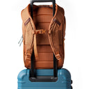 Cotopaxi Allpa 18L Daypack - Rucksack 43 cm (whiskey) - Ansicht 8