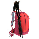Deuter AC Lite 17 - Wanderrucksack 47 cm (cherry-masala) - Ansicht 12