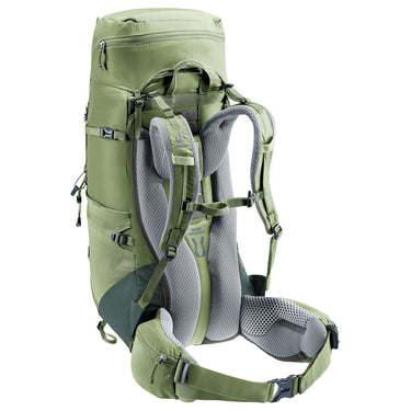Deuter Aircontact Lite 35 + 10 SL - Women's Trekkingrucksack 70 cm (grove-ivy) - Ansicht 3