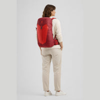Deuter AC Lite 30 - Wanderrucksack 59 cm (cherry-masala) - Ansicht 9