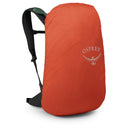 Osprey Hikelite LT 30 - Wanderrucksack 55 cm (tundra green) - Ansicht 4